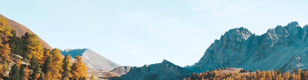 Home contact hero 1.jpg